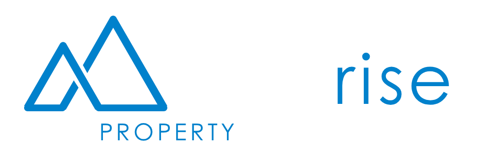everrise logo final