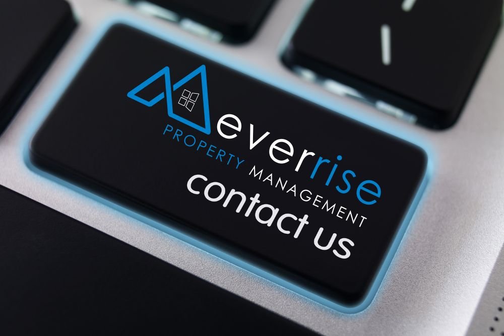 everrise about us 5